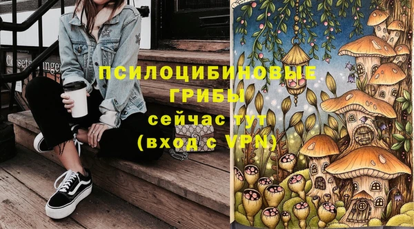 Альфа ПВП Арсеньев