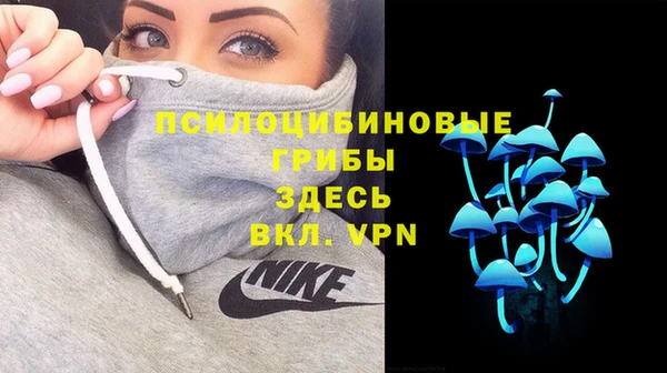 Альфа ПВП Арсеньев
